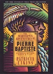Tapa de The marvelous adventures of Pierre Baptiste