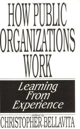 Tapa de How Public Organizations Work