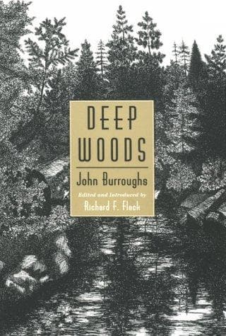 Tapa de Deep woods
