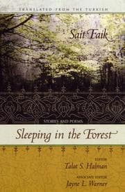 Tapa de Sleeping in the Forest