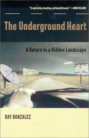 Tapa de The underground heart