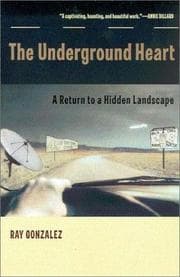 Tapa de The underground heart