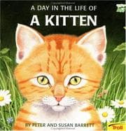 Tapa de A day in the life of a kitten