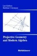 Tapa de Projective geometry and modern algebra