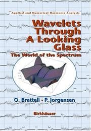 Tapa de Wavelets through a looking glass