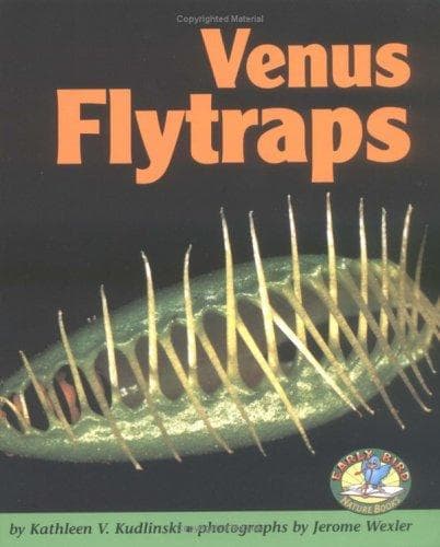 Tapa de Venus flytraps