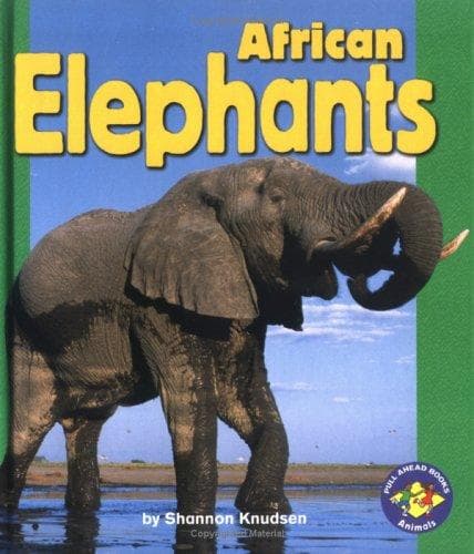 Tapa de African elephants