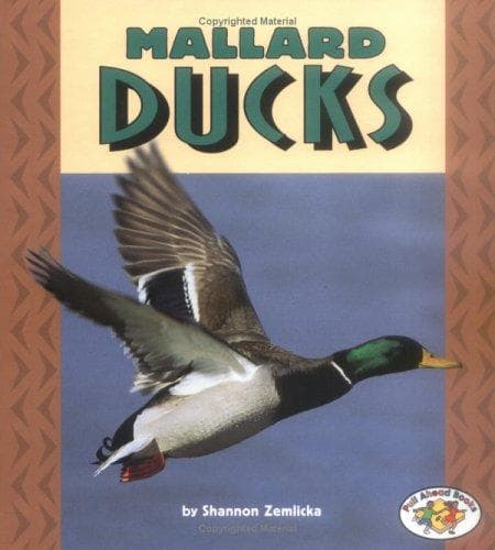 Tapa de Mallard Ducks (Pull Ahead Books)