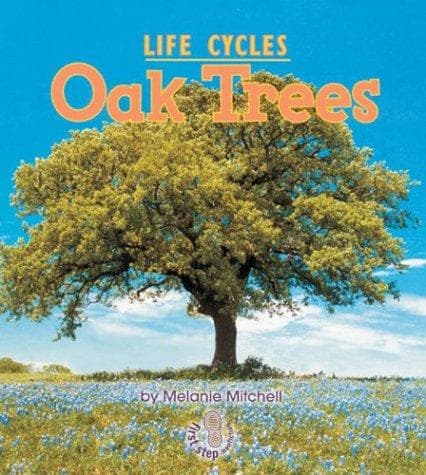 Tapa de Oak Trees