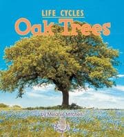 Tapa de Oak Trees