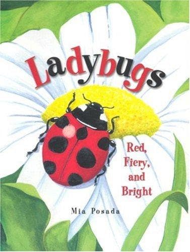 Tapa de Ladybugs
