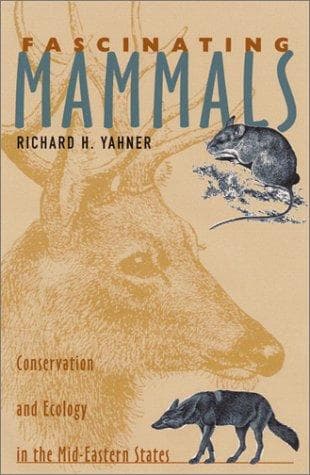 Tapa de Fascinating Mammals