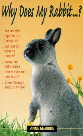 Tapa de Why Does My Rabbit . . . ? (Pet Care)