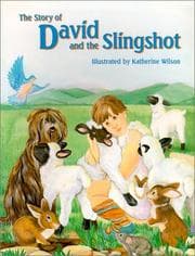 Tapa de The story of David and the slingshot