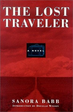 Tapa de The lost traveler