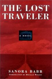 Tapa de The lost traveler