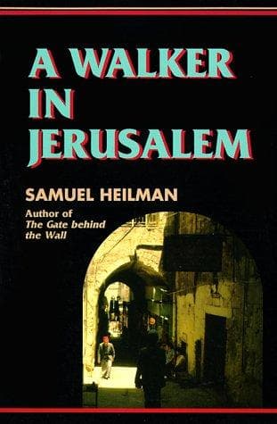 Tapa de A walker in Jerusalem