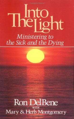 Tapa de Into the light