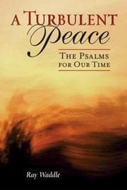 Tapa de A Turbulent Peace