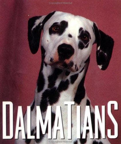 Tapa de Dalmatians