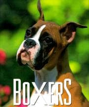 Tapa de Boxers
