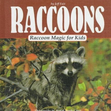 Tapa de Raccoons