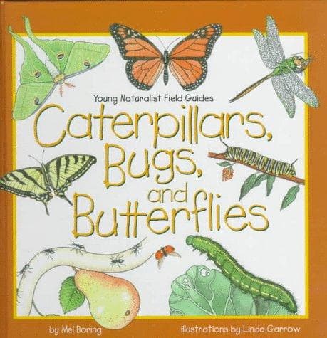 Tapa de Caterpillars, bugs, and butterflies