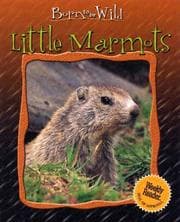Tapa de Little Marmots
