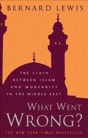 Tapa de What Went Wrong?