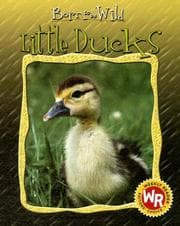 Tapa de Little ducks