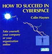 Tapa de How to succeed in cyberspace