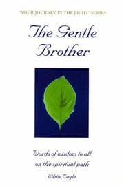 Tapa de Gentle Brother (Your Journey in the Light)