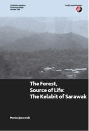 Tapa de The Forest, Source of Life