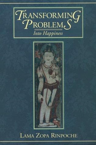 Tapa de Transforming problems into happiness
