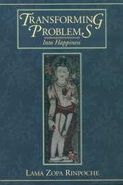 Tapa de Transforming problems into happiness