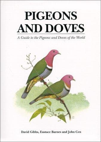 Tapa de Pigeons and Doves