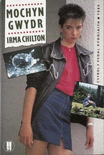 Tapa de Mochyn gwydr