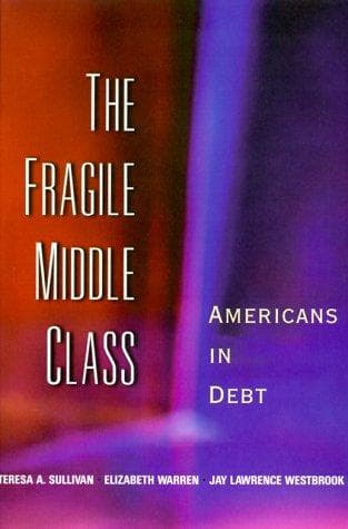 Tapa de The Fragile Middle Class