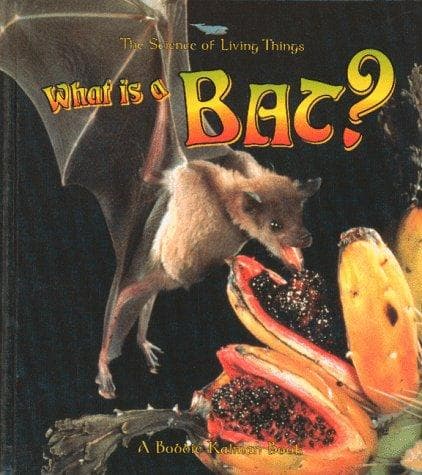Tapa de What is a bat?