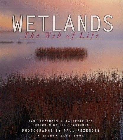 Tapa de Wetlands