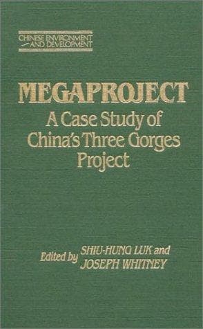 Tapa de Megaproject