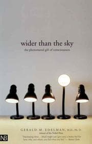 Tapa de Wider Than the Sky