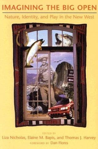 Tapa de Imagining the big open
