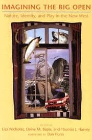 Tapa de Imagining the big open