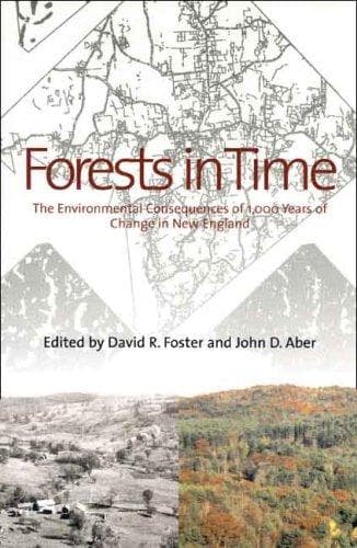 Tapa de Forests in Time