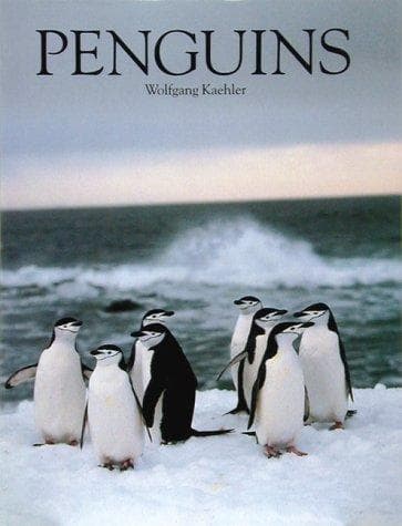 Tapa de Penguins