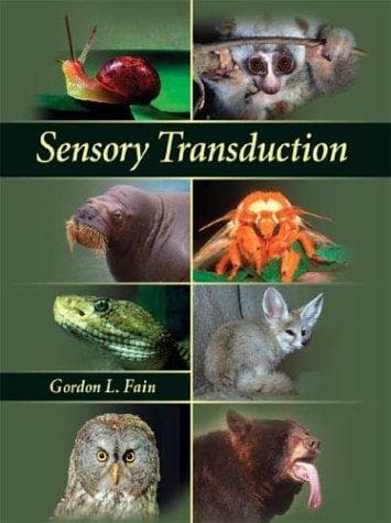 Tapa de Sensory Transduction