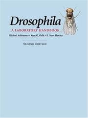 Tapa de Drosophila