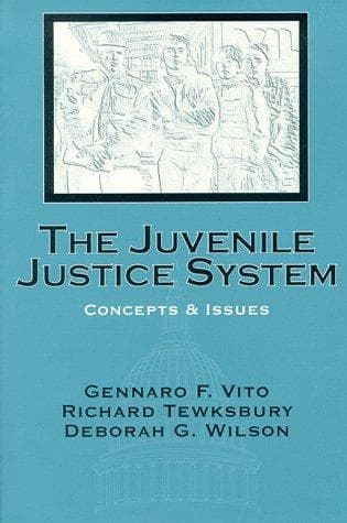 Tapa de The Juvenile Justice System