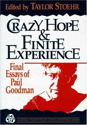 Tapa de Crazy Hope and Finite Experience